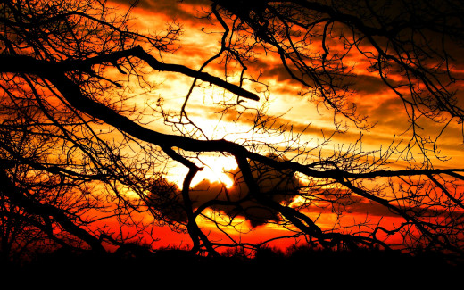 503924 (a): :2560x1600